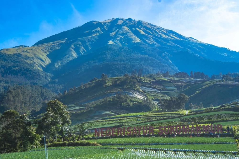 view negeri sayur sukomakmur magelang